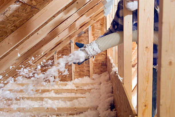 Best Basement Insulation in Blountville, TN