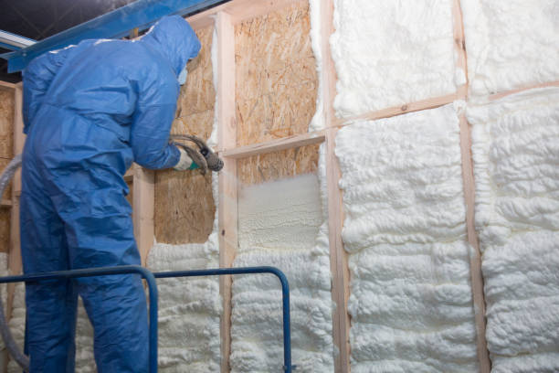 Best Spray Foam Insulation in Blountville, TN